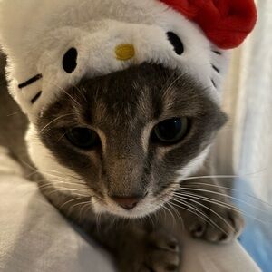 Meet your Posher, Evelyn!